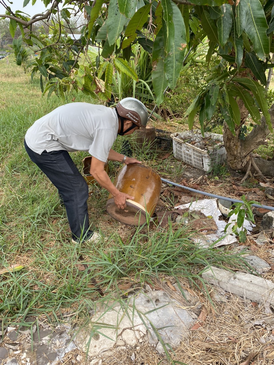 CHIẾN DỊCH DIỆT LĂNG QUĂNG/BỌ GẬY TẠI XÃ TÂN HẢI: CHUNG TAY ĐẨY LÙI DỊCH SỐT XUẤT HUYẾT.